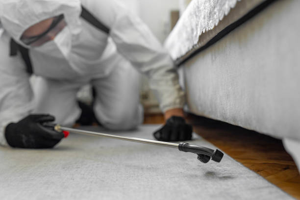 Professional Termite Control technician working in Coleman, TX