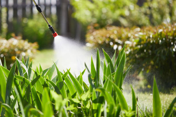 24/7 Emergency Termite Control experts in Coleman, TX