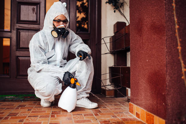 Reliable Termite Control contractor in Coleman, TX by Nex Pest Control